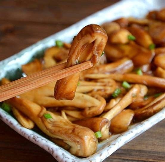 对不起我要去学校了模板,对不起我要去天津了