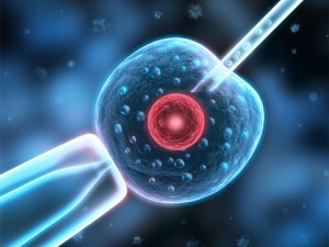 莲花宝宝:泰国试管婴儿移植,子宫内膜厚度多少才合适?