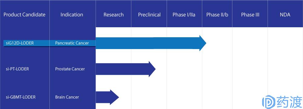 rna药物研发的公司,rna药物和蛋白药物
