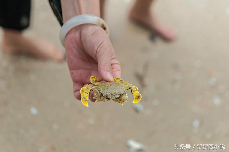 广州十大冷门自驾,广州自驾游最佳线路图最新