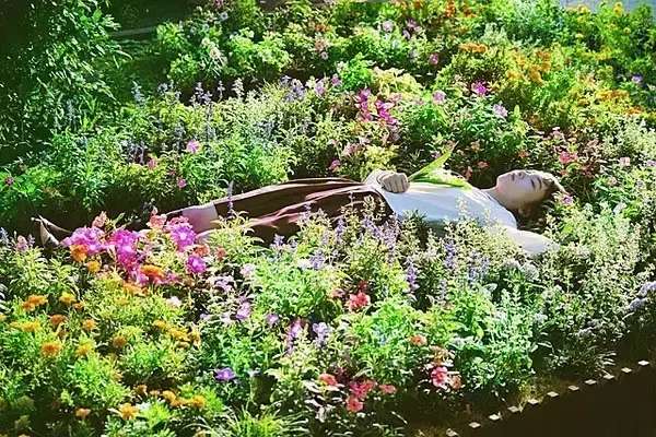 这部白莲花之王的神日片，一群妹子全程专注于搞事情