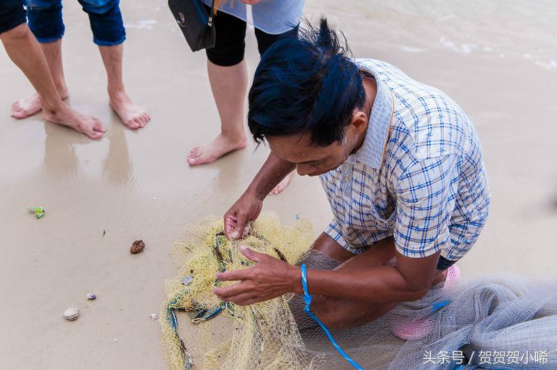 广州十大冷门自驾,广州自驾游最佳线路图最新