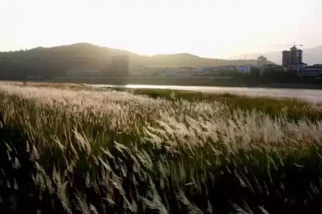 去广元必须去玩的风景,四川广元旅游必去十大景点推荐