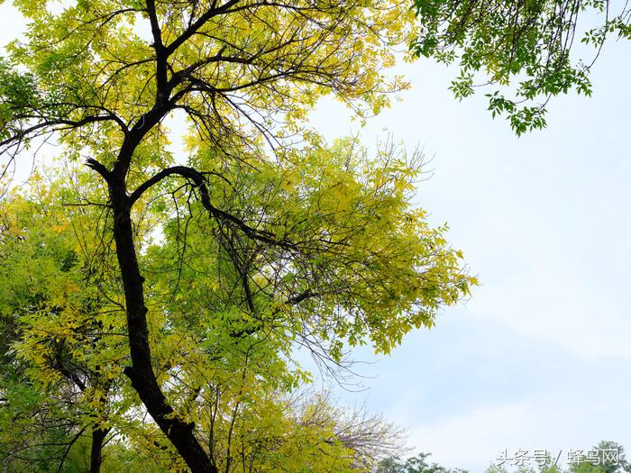 富士中画幅gfx50sii视频评测,富士gfx50s二代高感和全画幅对比