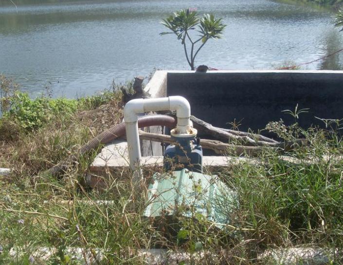 亩产6000元的养鱼模式,养什么最赚钱又好养鱼