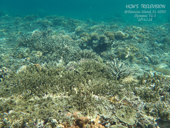 阳光，假日，海滩，带你深度游巴拉望上