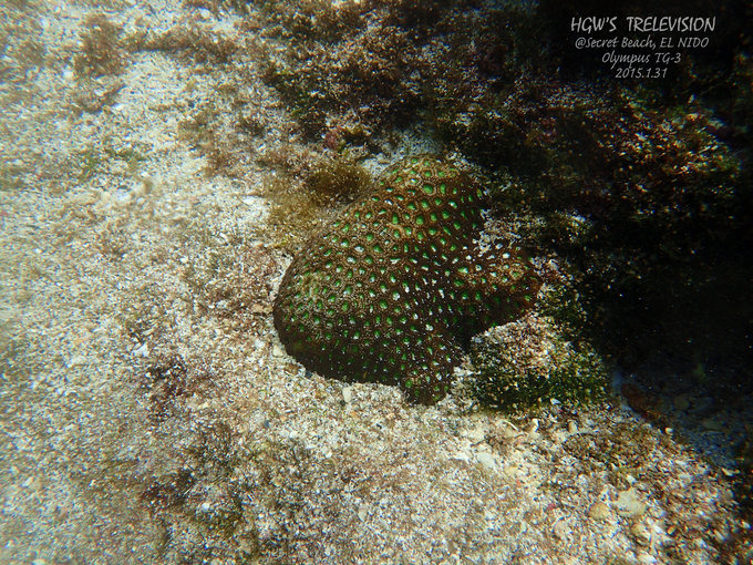 阳光，假日，海滩，带你深度游巴拉望上