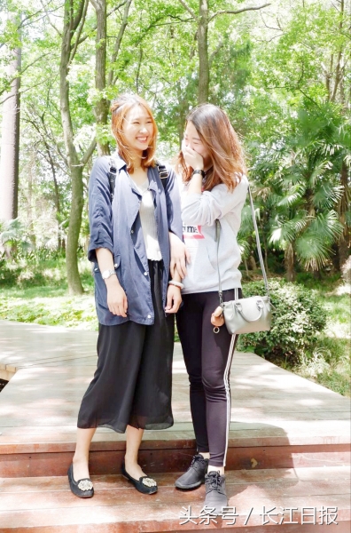 东湖绿道水杉图,东湖绿道夏天水杉