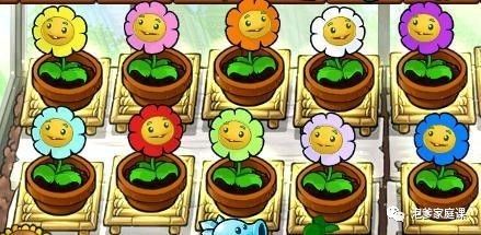 地球植物进化史,地球植物演化史时间轴