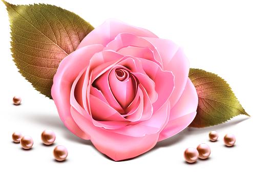 乔迁新居送什么礼物最好实用,恩师乔迁新居送什么礼物最好