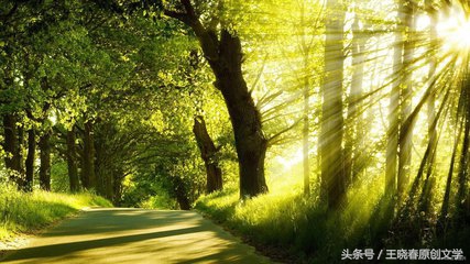 用微笑走出自己的路,用微笑征服一切