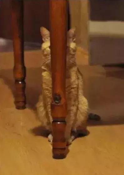 石家庄高中放假时间2022寒假通知,石家庄高校寒假放假最新通告