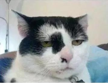 石家庄高中放假时间2022寒假通知,石家庄高校寒假放假最新通告