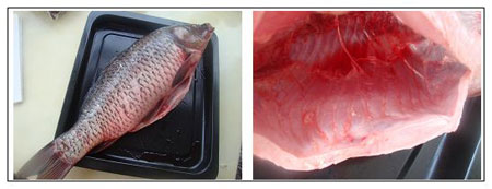 铁锅炖鱼花卷做法,东北铁锅炖鱼做法视频