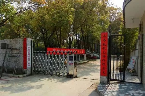 匆匆那年怀念学校,匆匆那年校园回忆