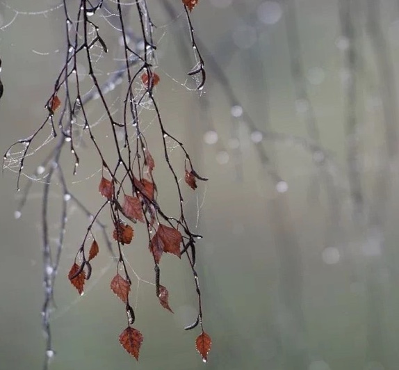 圈子虽小干净就好男生版,圈子虽小干净就好抖音视频