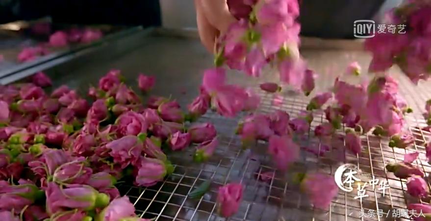 像玫瑰一样的生活？《本草中华.容颜》为你精心打造几款美肤胜品