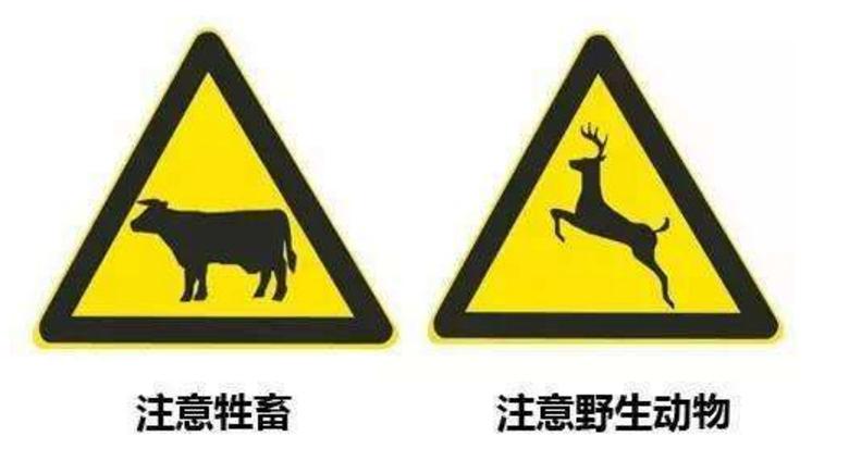 科目一交规知识速记口诀,科目一交规考试知识点口诀与技巧