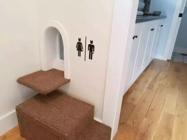 日本代购热销产品,日本代购哪些产品畅销