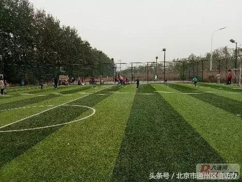 通州体育馆升级改造后的效果图,通州体育场改造