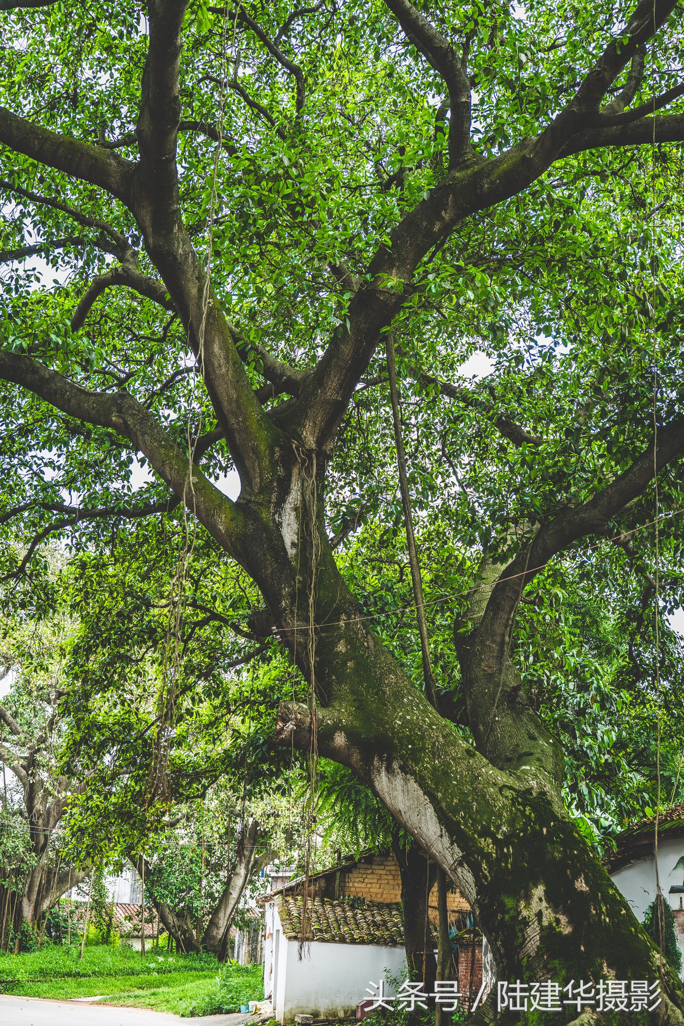 东莞世界工厂历史,东莞世界工厂遗址