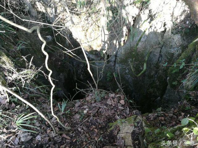 泸州深山老林景区,隐藏的世外桃源山中奇观