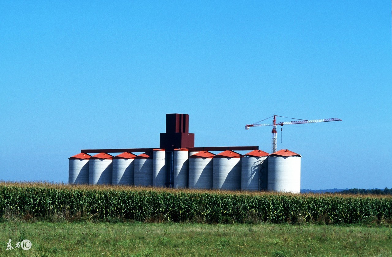 喂发酵饲料的危害,正宗发酵饲料配方