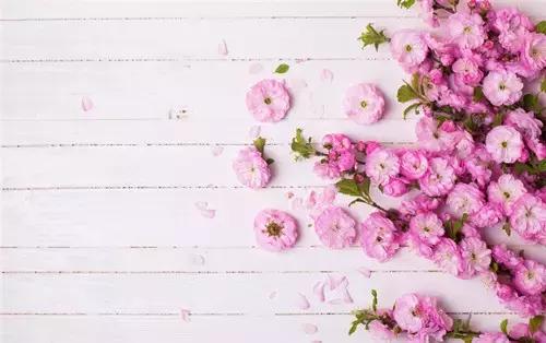 常见易混单词短语熟词生义大汇总,熟词生义单词考点