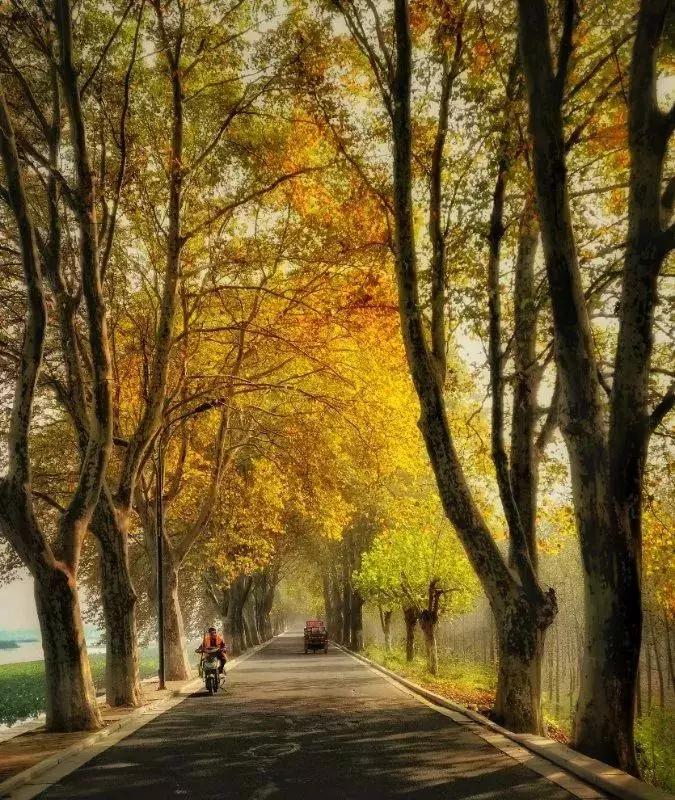 手机拍照拍不出你们的美感,拍照不好看是手机的问题