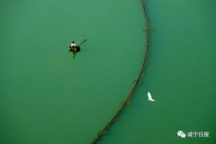咸宁崇阳十大景点,湖北咸宁崇阳有什么风景