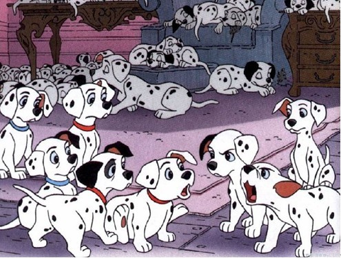 斑点狗多大开始长斑点,斑点狗身上的斑点怎么多一点