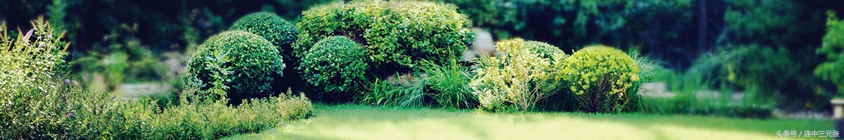 在职会计专业考研mpacc,会计硕士mpa报考条件