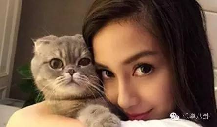 十年前的范冰冰,范冰冰王子文