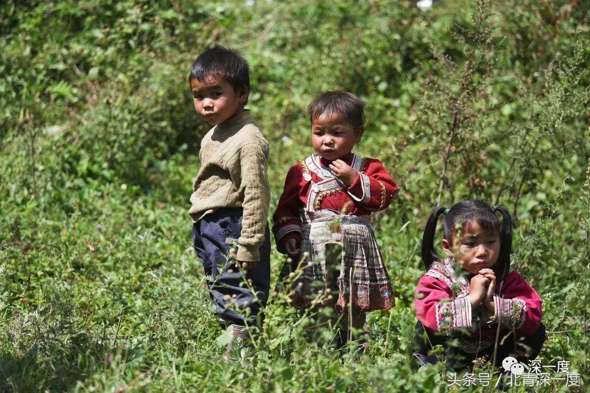 鹿晗泥坑,鹿晗在泥坑里