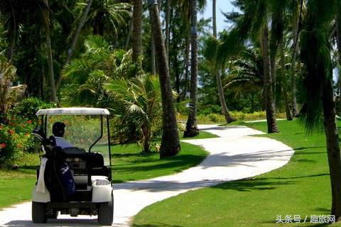 高更最后的大溪地,高更经历