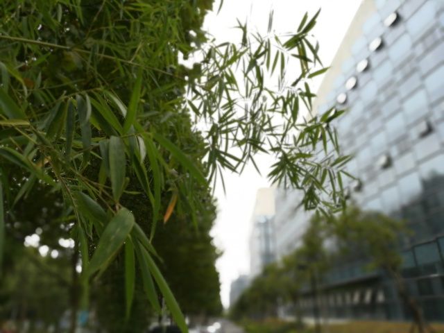 360手机和华为畅玩7x哪个更好,荣耀畅玩7x像素多少合适