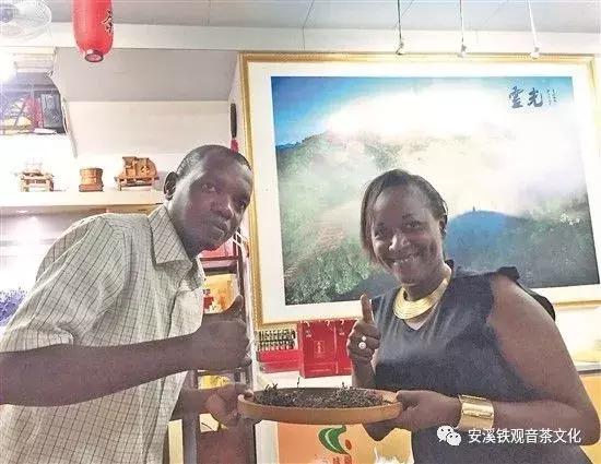 安溪铁观音永不被超越的经典茶,安溪铁观音今年秋茶最新消息