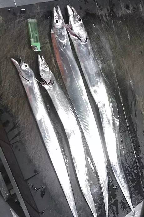 市场海鲜怎么买,挑选新鲜海鲜的正确方法