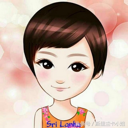 鍑哄浗鏃呮父娓ｇ敺,鏃呮父鍑鸿建澶栧浗浜虹殑妗堜緥