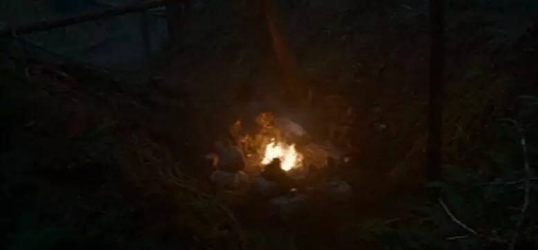 想不想跟着小李子体验“荒野猎人”一日游？