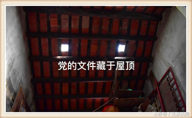 司马第陆丰,陆丰博美历史