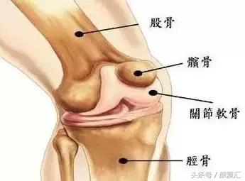 骨刺其实不是病千万不要过度治疗,骨刺真的就如你想象一般可怕吗