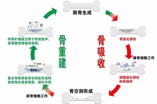 严重骨质疏松不能吃什么,骨质疏松副作用最小的药