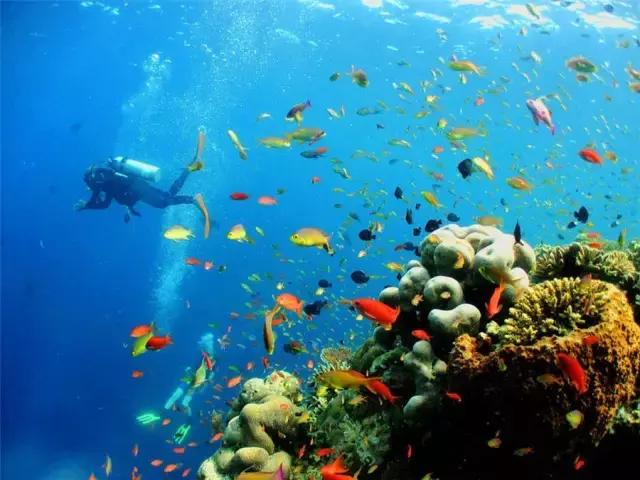 骨灰级海岛自由行签证,骨灰级干货史上最全海岛签证汇总