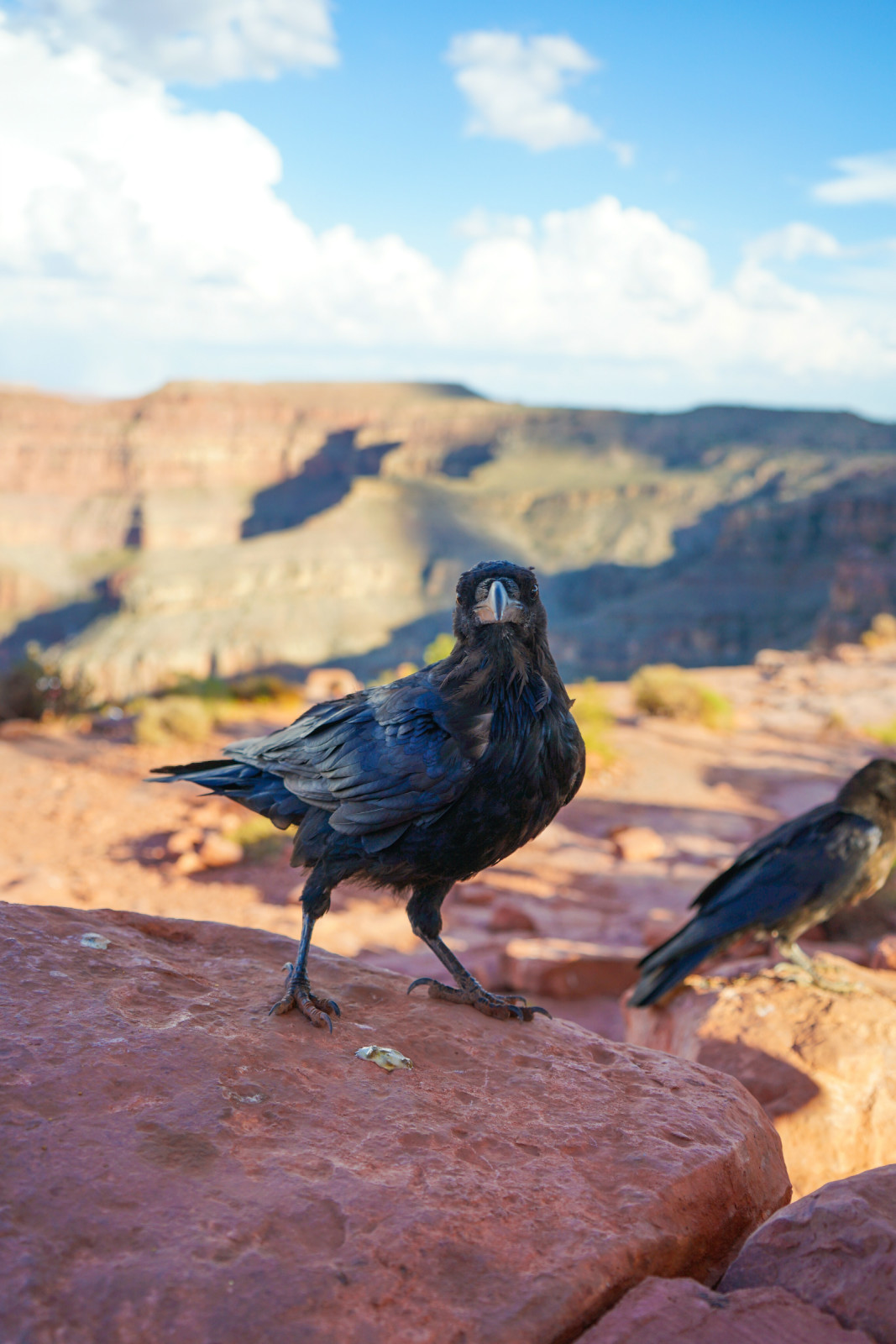 美国西海岸7天自驾游,西海岸周边自驾游推荐