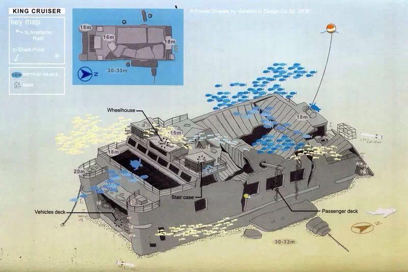 普吉岛7月潜水,泰国普吉岛潜水怎么样拍照好看