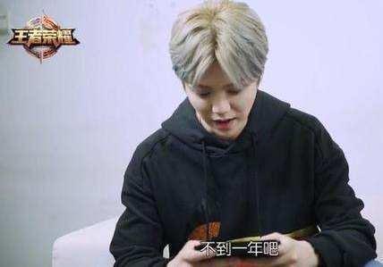 王者荣耀鹿晗巅峰赛,王者荣耀2018春季赛鹿晗