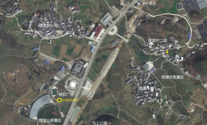 贵阳市乌当区千年银杏古树,贵阳蓬莱仙境景区银杏树