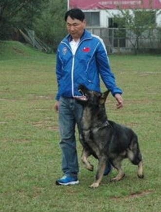 家有乖乖狗,家有乖乖小狗扑人