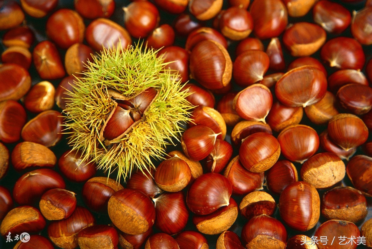 糖尿病快速增肥10斤的方法,怎样快速增肥最快最有效的方法